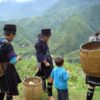 Sapa – Black Hmong Ethnic