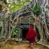 cambodia-angkor-wat-buddhist-monk-jungle