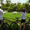 Vietnam-cycling-02