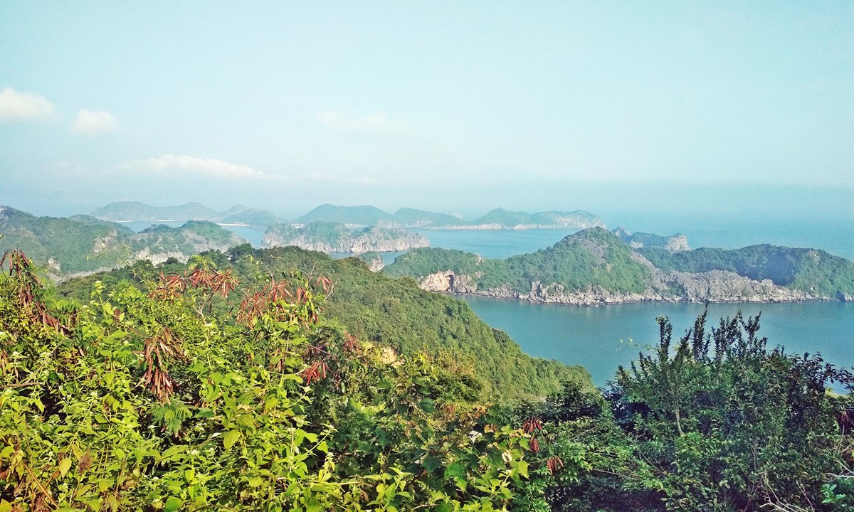 Enjoy the view of Lang Ha Bay and Halong Bay from the top of Cat Ba&#39;s Cannon Fort (Shutterstock)