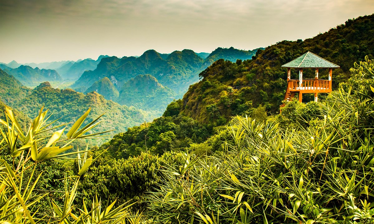 The incredible view from Cat Ba Island National Park&#39;s Ngu Lam Peak (Shutterstock)