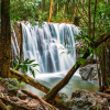 Tranh Waterfalls