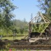 My Lai Massacre