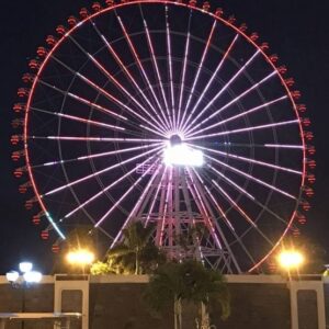 Sun Wheel Danang