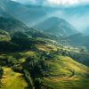 Rice Terrace in Sapa 1