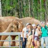 vinpearl-safari-phu-quoc-1_1664351681