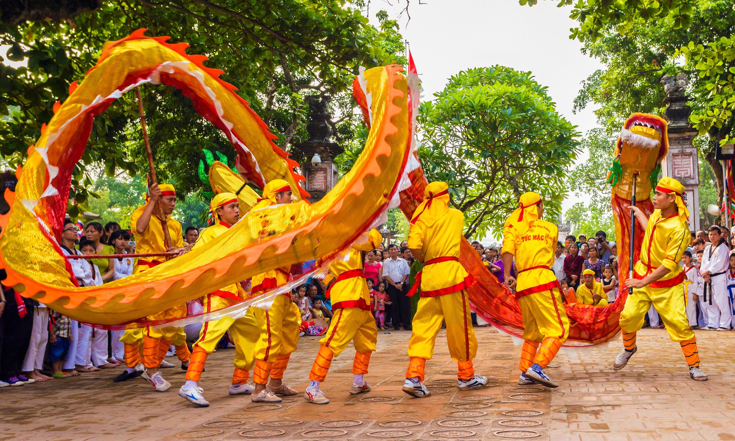 Vietnamese dragon dance (Shutterstock.com)