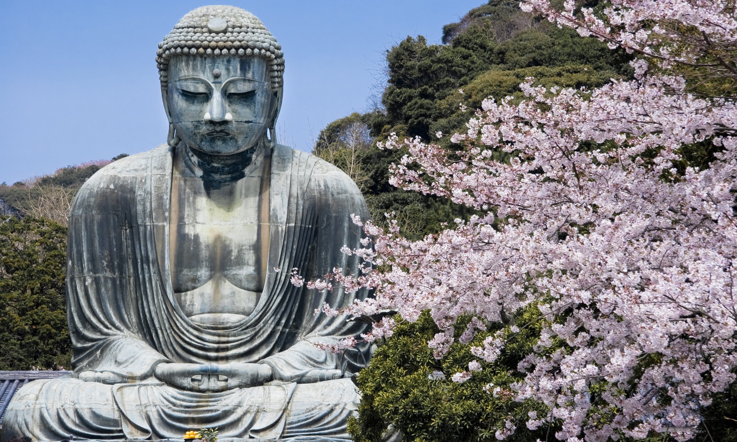 Daibutsu of Kamakura (Dreamstime)