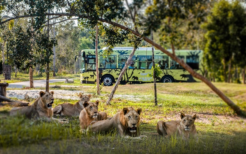 Vinpearl Safari Phu Quoc